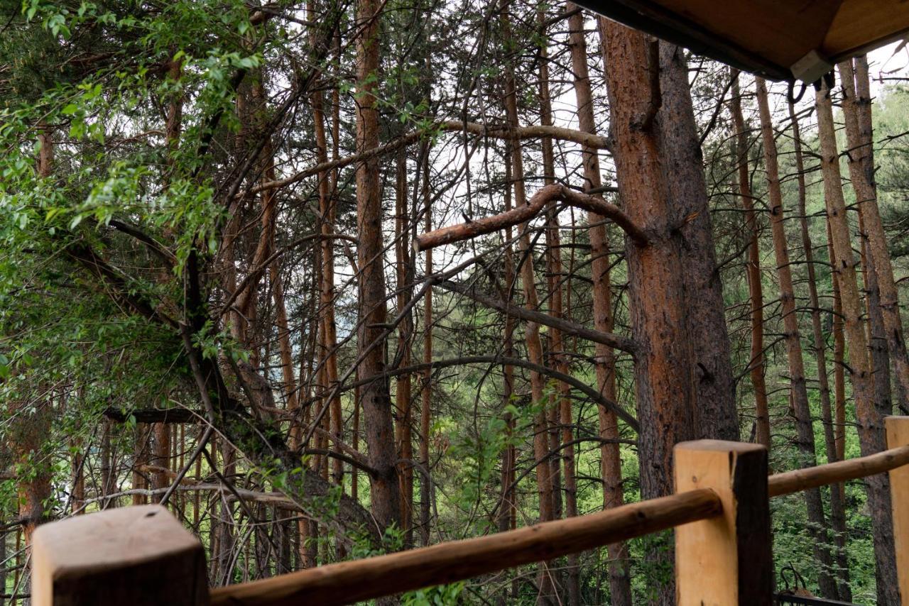 Qazaq Auyl Eco Hotel Almaty Ngoại thất bức ảnh