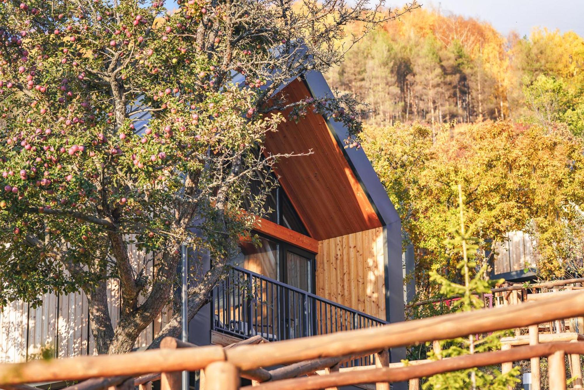 Qazaq Auyl Eco Hotel Almaty Ngoại thất bức ảnh